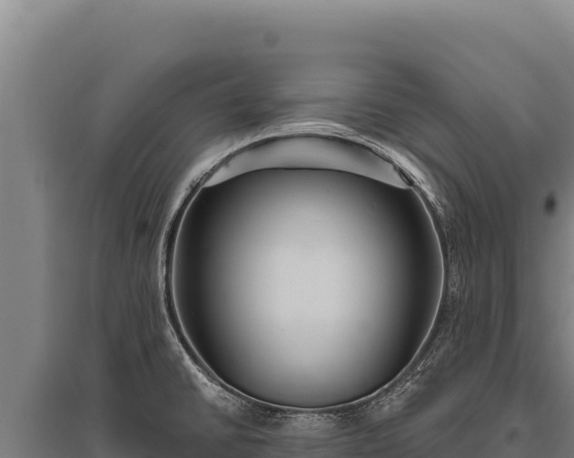 X0000095961430200801181434