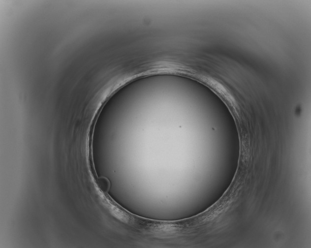 X0000095961431200801181434