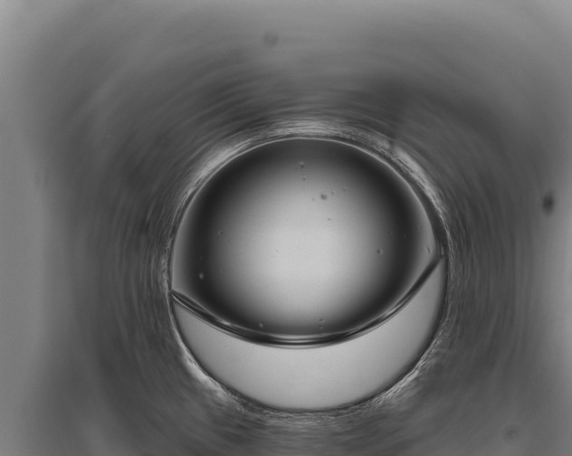 X0000095961433200801181434