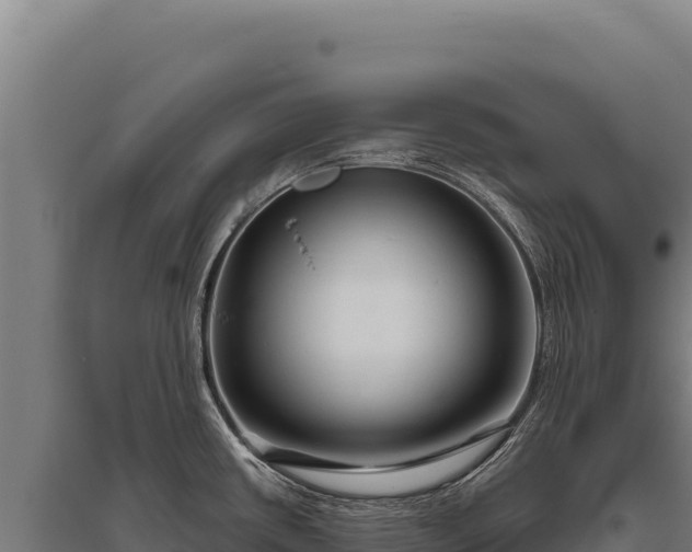 X0000095961434200801181434