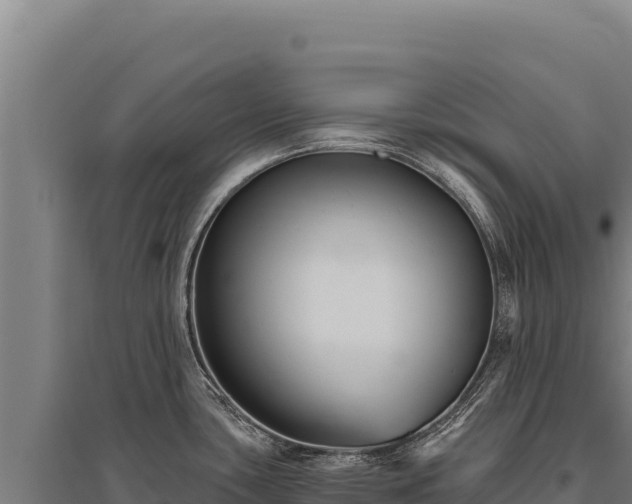 X0000095961435200801181434