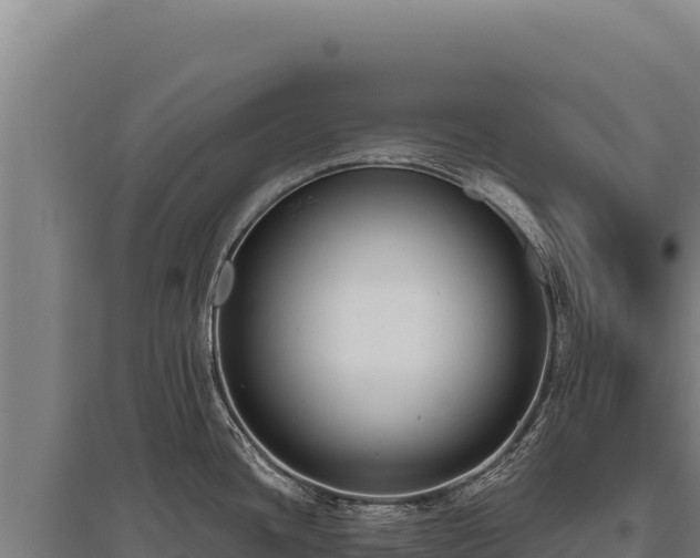 X0000095961436200801181434