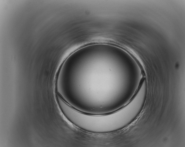 X0000095961437200801181434