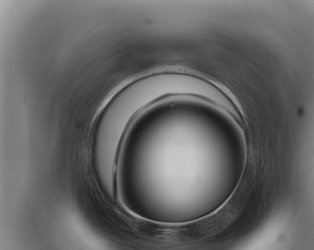 X0000095961438200801181434