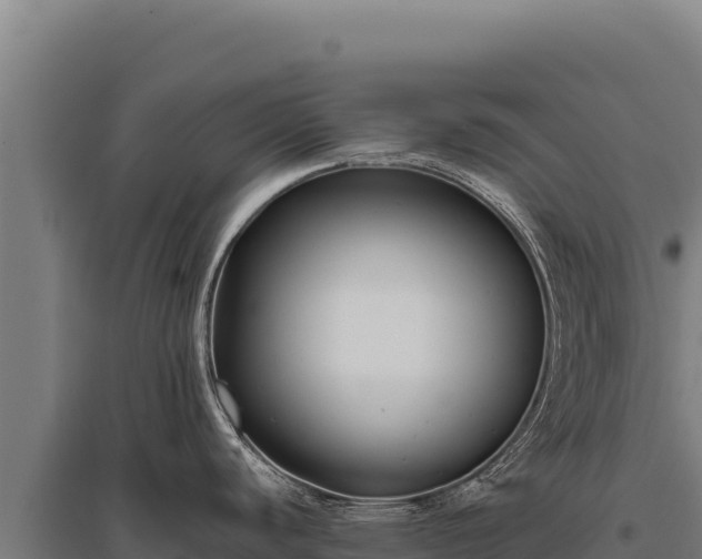 X0000095961440200801181434