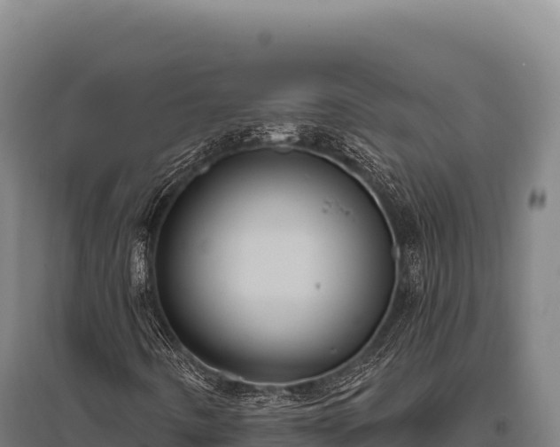 X0000095961442200801181434