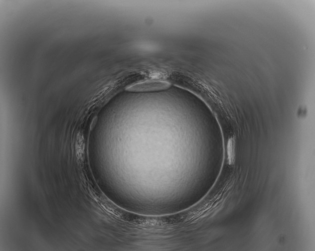 X0000095961443200801181434