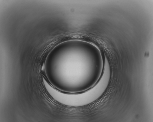 X0000095961444200801181434