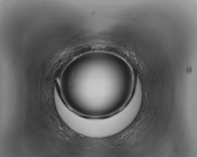 X0000095961445200801181434