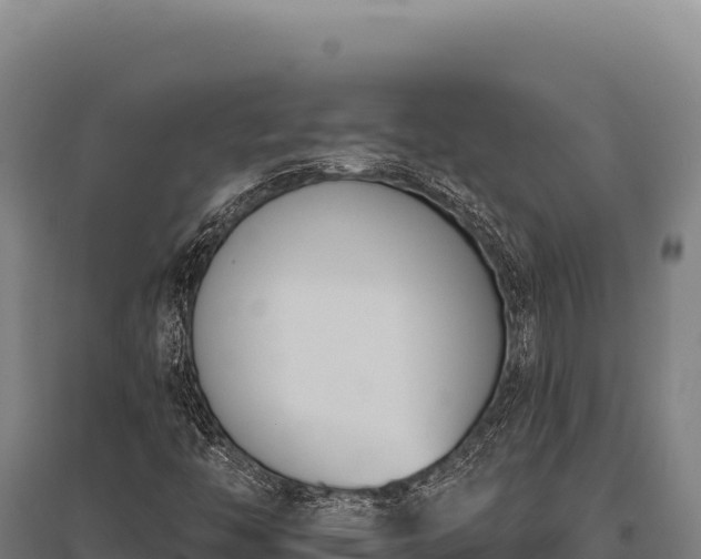 X0000095961446200801181434