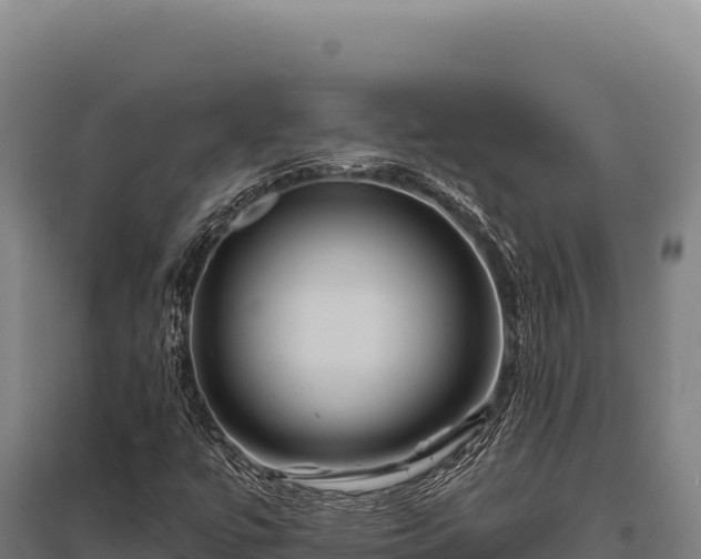X0000095961447200801181434