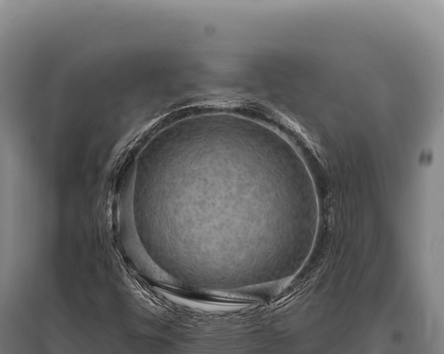 X0000095961448200801181434