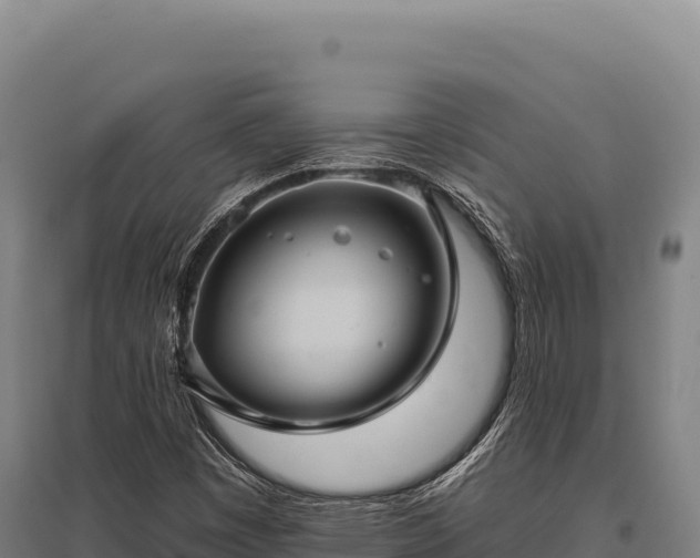 X0000095961449200801181434