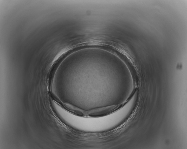 X0000095961450200801181434