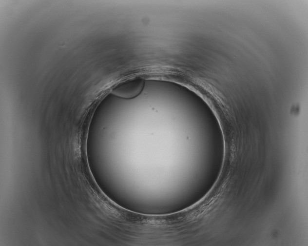 X0000095961451200801181434