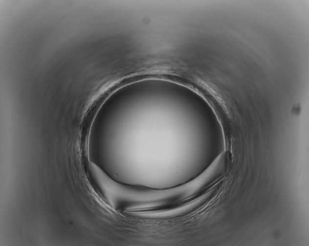X0000095961452200801181433