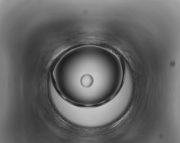 X0000095961453200801181433