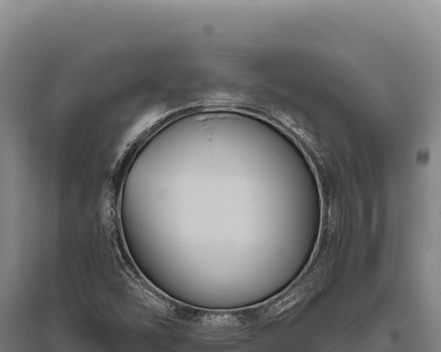X0000095961454200801181433