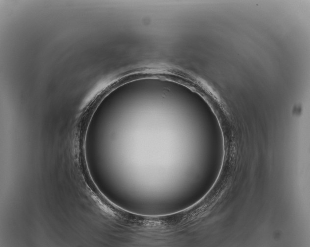 X0000095961456200801181433