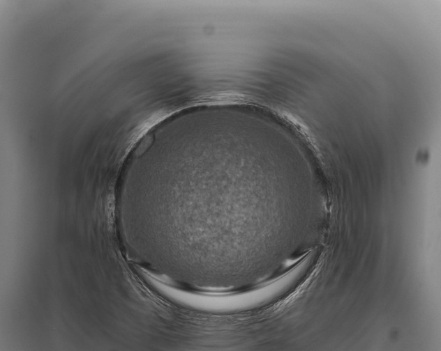X0000095961457200801181433