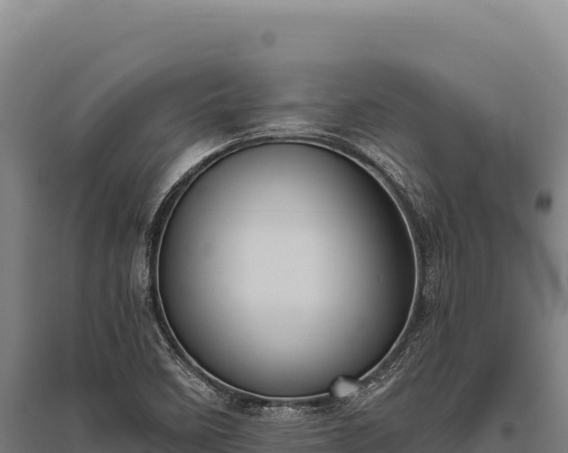 X0000095961458200801181433