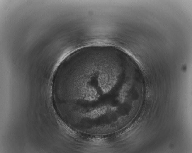 X0000095961459200801181433