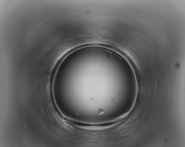 X0000095961460200801181433