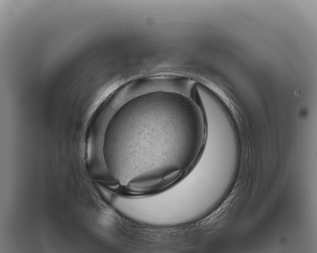 X0000095961461200801181433