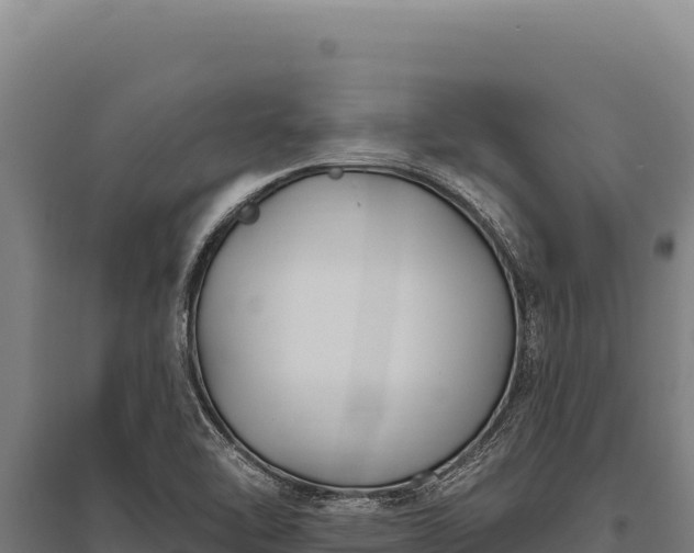 X0000095961462200801181433