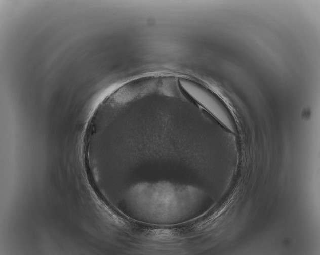 X0000095961463200801181433