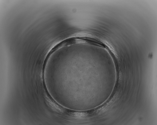 X0000095961465200801181433