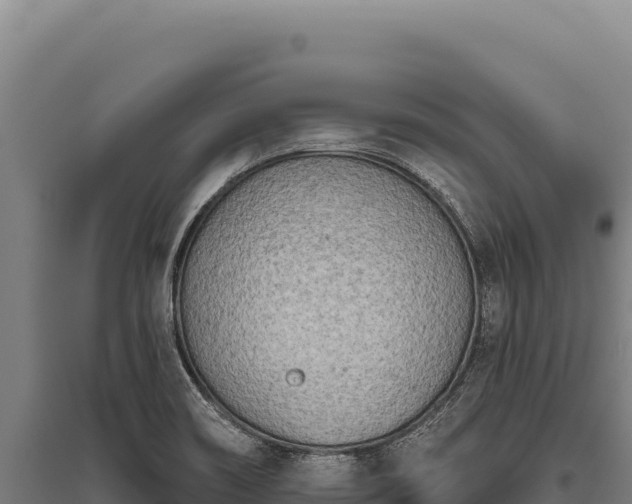 X0000095961466200801181433