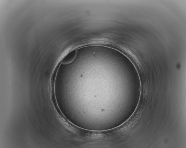 X0000095961467200801181433