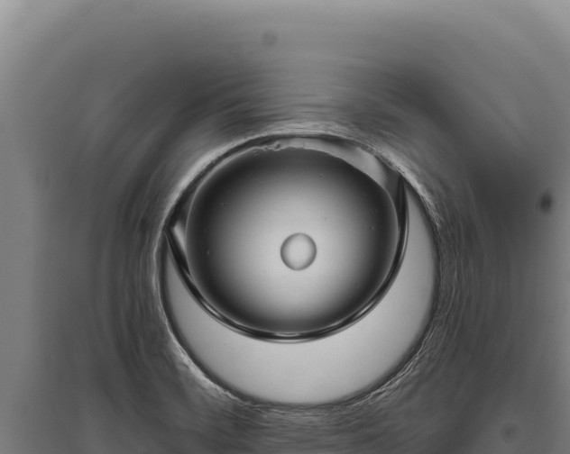 X0000095961468200801181433