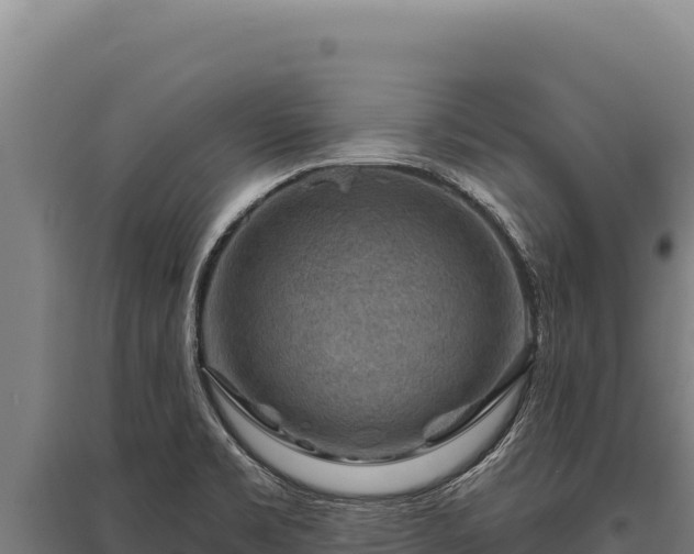 X0000095961469200801181433