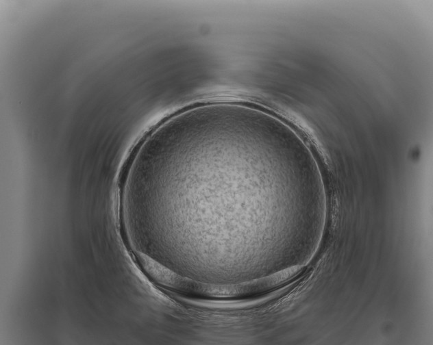 X0000095961472200801181433