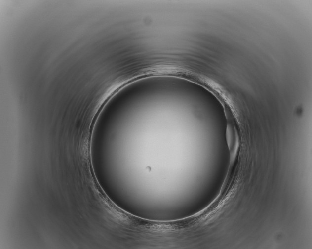 X0000095961473200801181433