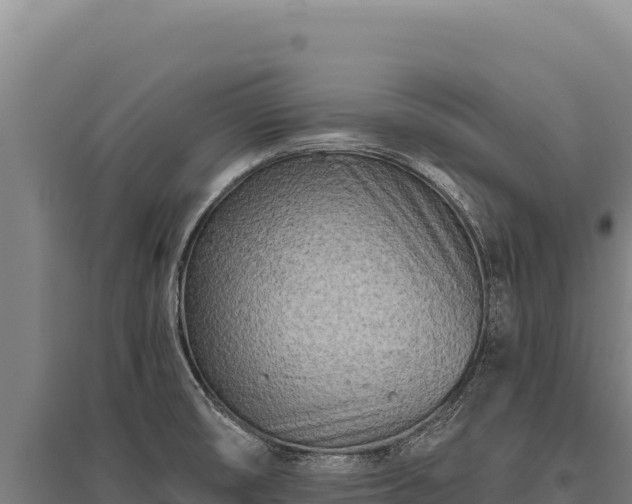 X0000095961474200801181433