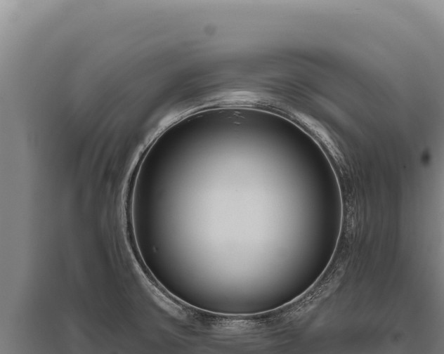 X0000095961475200801181433