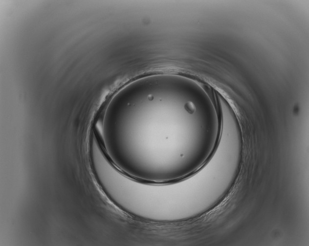 X0000095961477200801181433