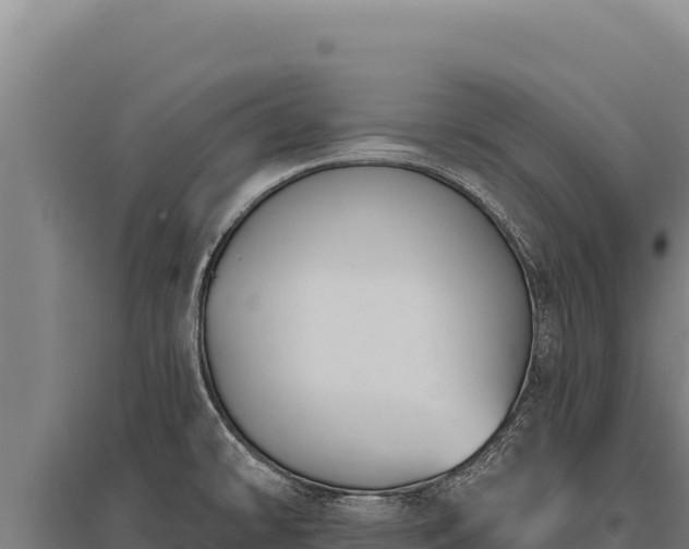 X0000095961478200801181433