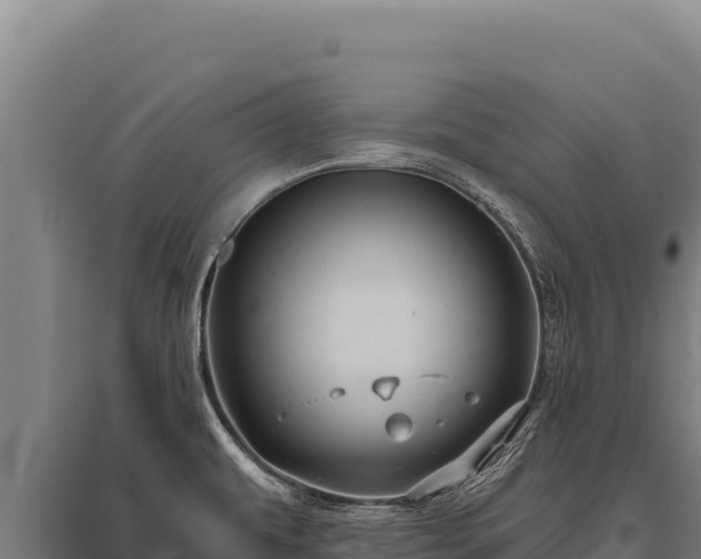X0000095961479200801181433