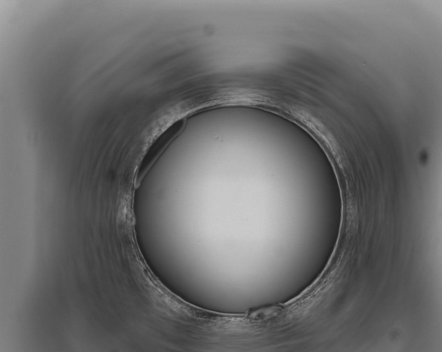 X0000095961481200801181433