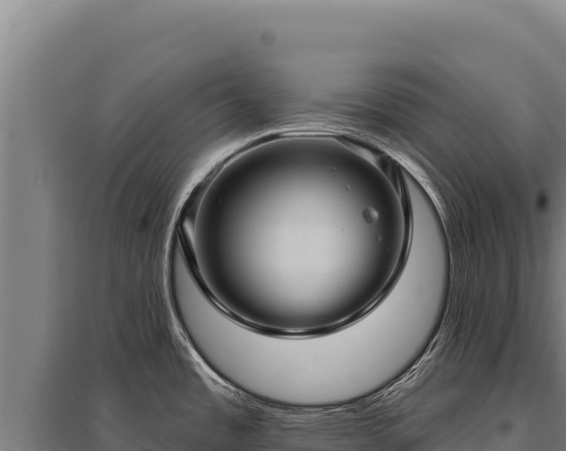 X0000095961485200801181433