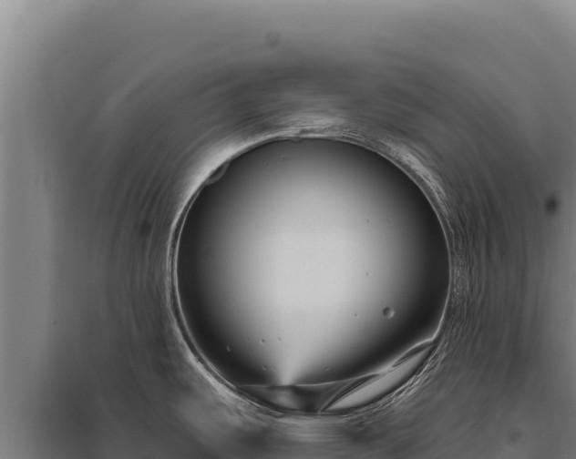 X0000095961487200801181433