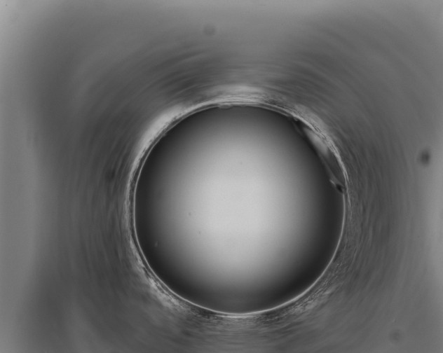 X0000095961488200801181433