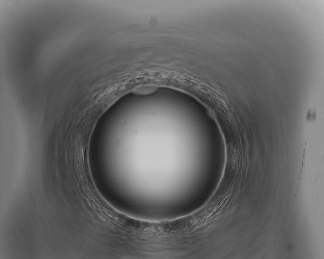 X0000095961489200801181432