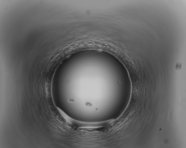 X0000095961490200801181432