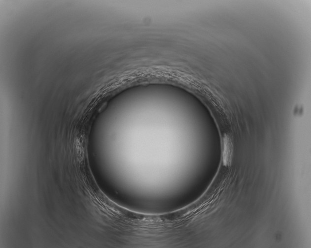 X0000095961491200801181432