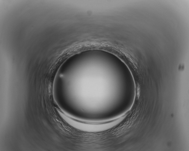 X0000095961492200801181432
